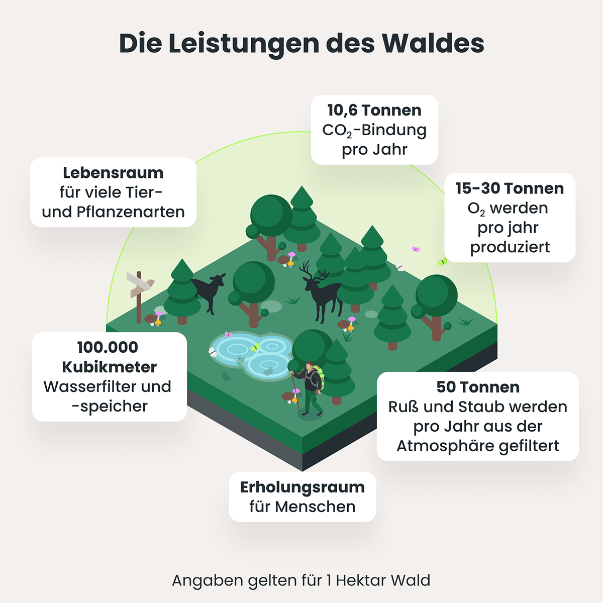 Waldschutz für mehr Nachhaltigkeit: Die Leistungen des Waldes