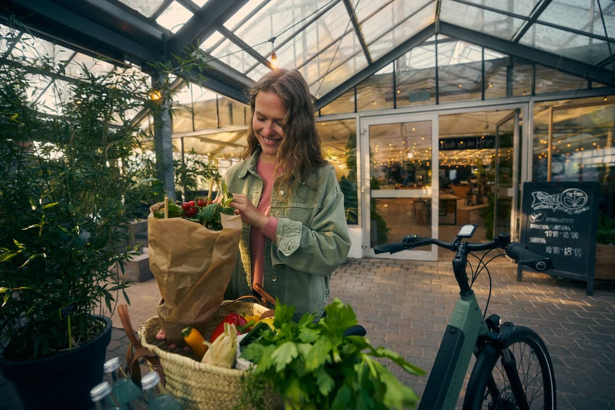 Kalkhoff Bikes woman with groceries