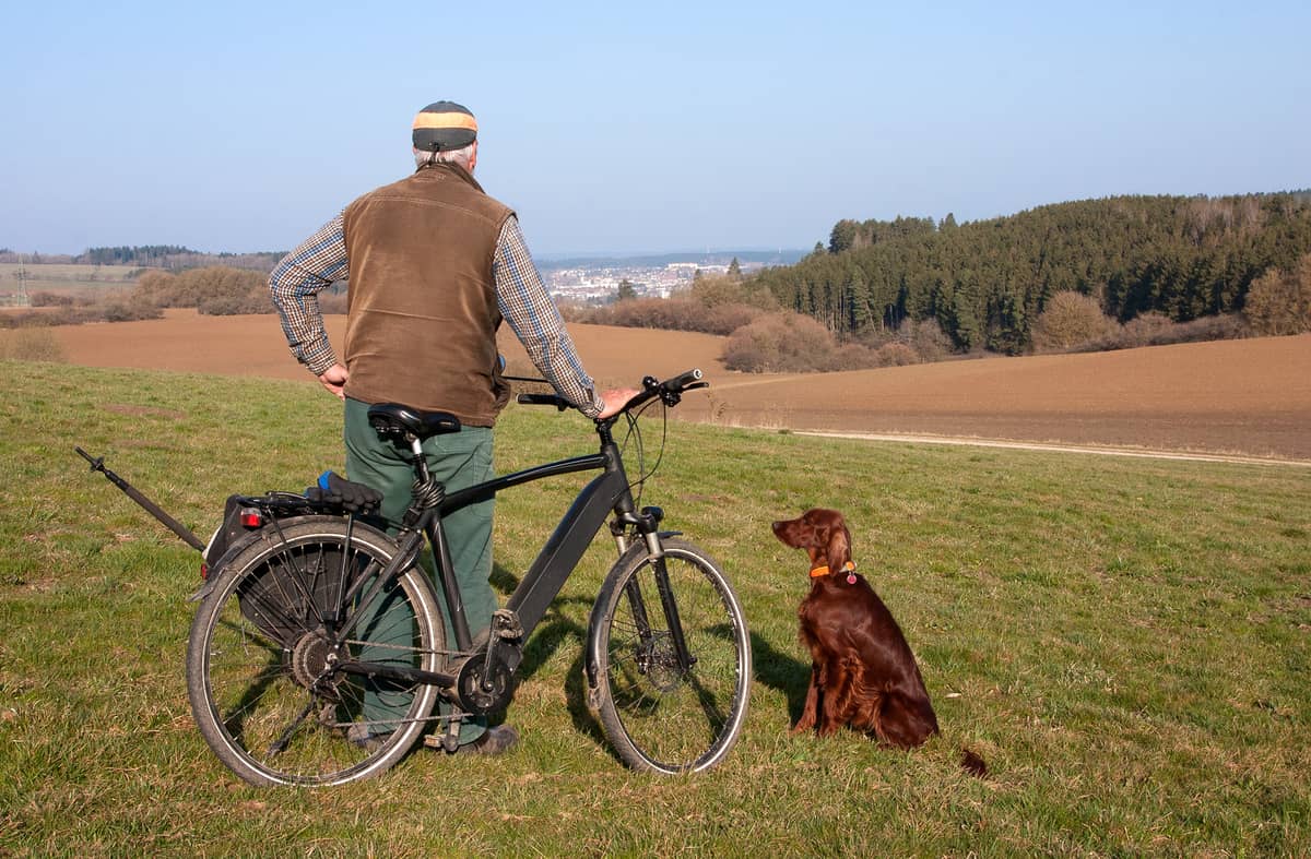 Mann Mit E Bike Und Hund In Der Natur